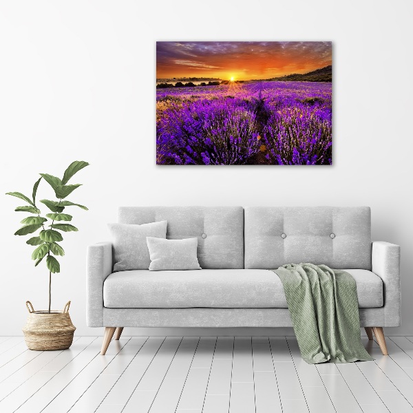 Foto canvas Lavendelveld