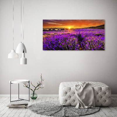 Foto canvas Lavendelveld