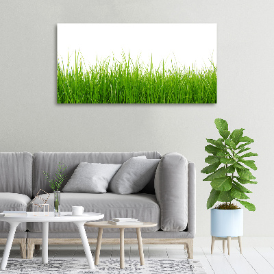 Schilderij op canvas Gras