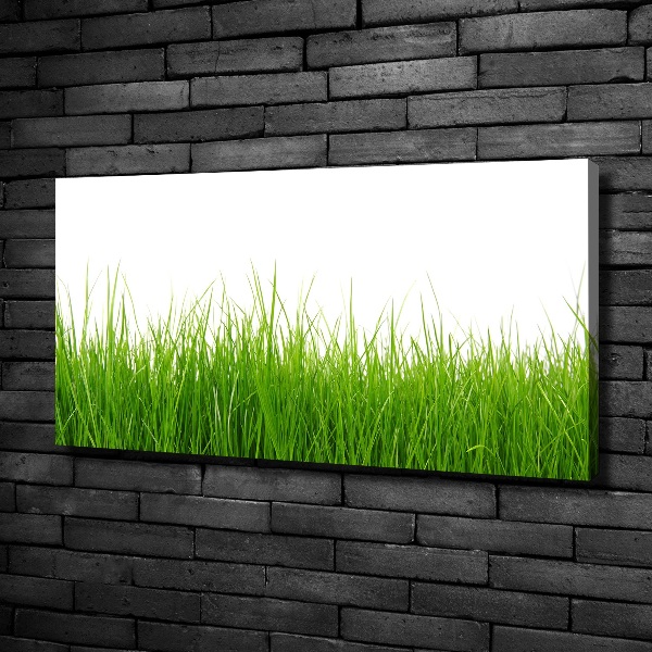 Schilderij op canvas Gras