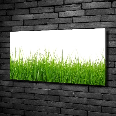 Schilderij op canvas Gras