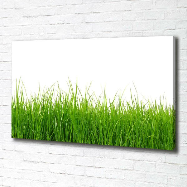 Schilderij op canvas Gras