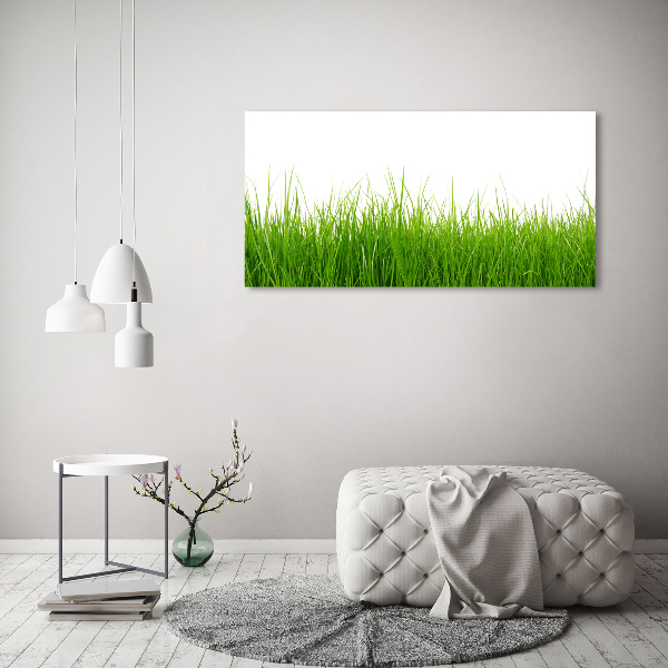 Schilderij op canvas Gras