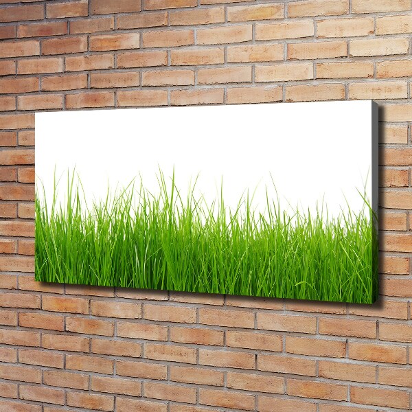 Schilderij op canvas Gras
