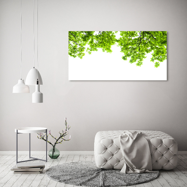 Foto canvas Eikenbladeren