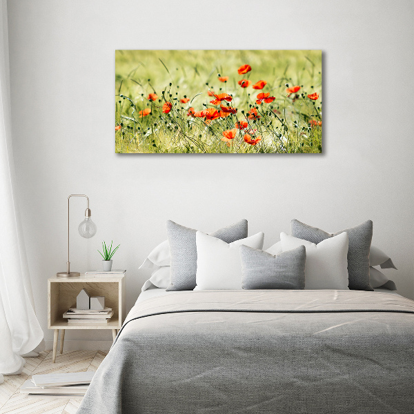 Foto op canvas Klaprozen