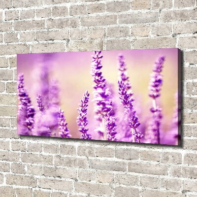 Canvas foto Lavendel