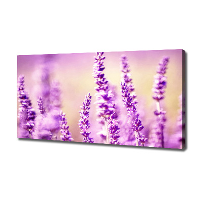 Canvas foto Lavendel