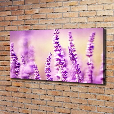 Canvas foto Lavendel