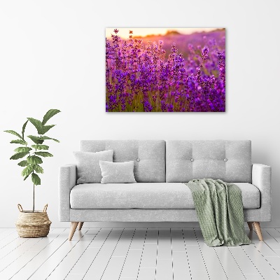 Schilderij op canvas Lavendelveld