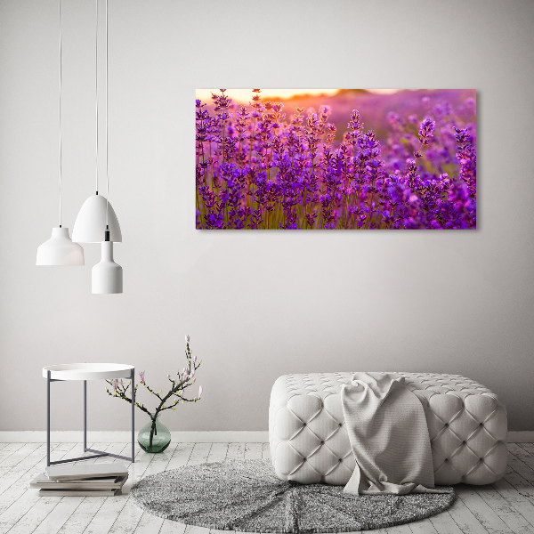 Schilderij op canvas Lavendelveld