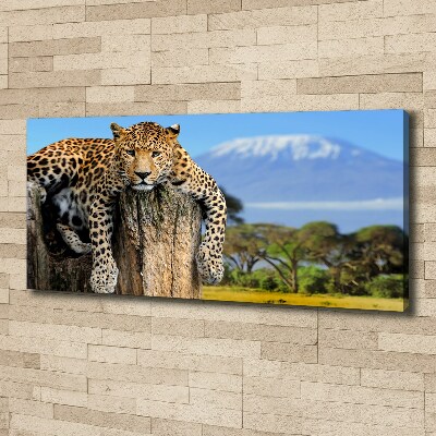 Foto op canvas Luipaard op een boomstronk