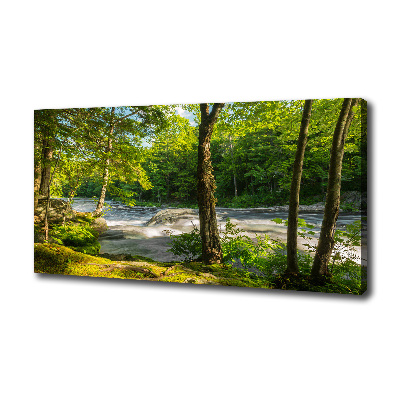 Canvas foto Rivier in het bos