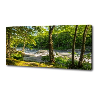 Canvas foto Rivier in het bos
