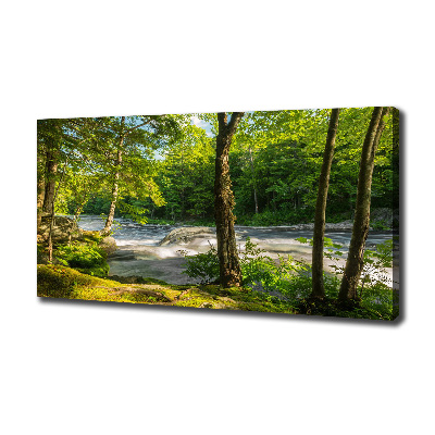 Canvas foto Rivier in het bos