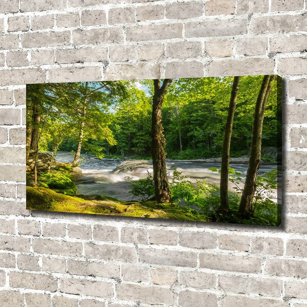 Canvas foto Rivier in het bos