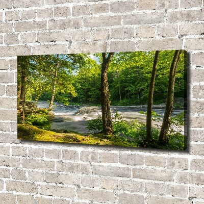 Canvas foto Rivier in het bos