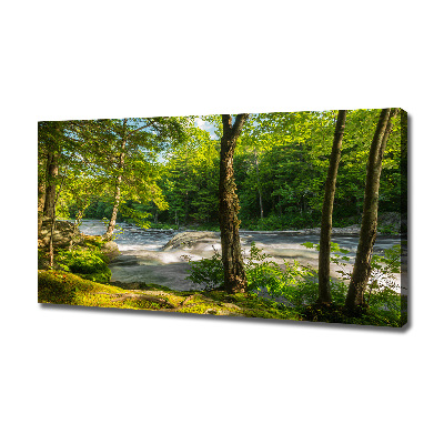 Canvas foto Rivier in het bos