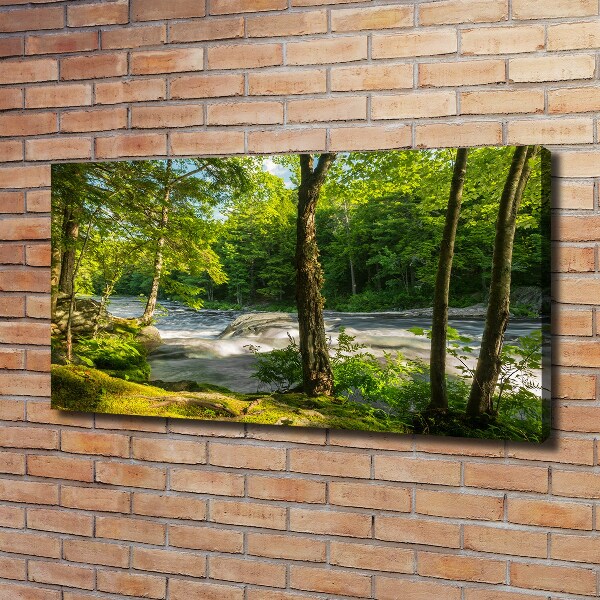 Canvas foto Rivier in het bos