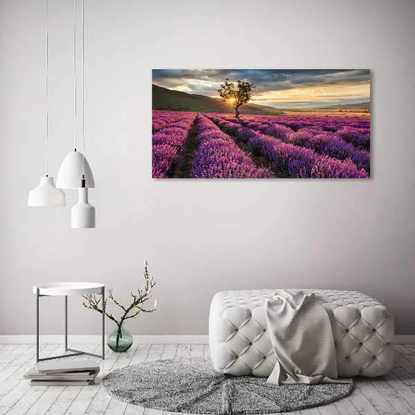 Schilderij op canvas Lavendelveld