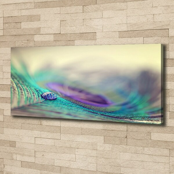 Foto obraz na płótnie Kropla na piórku