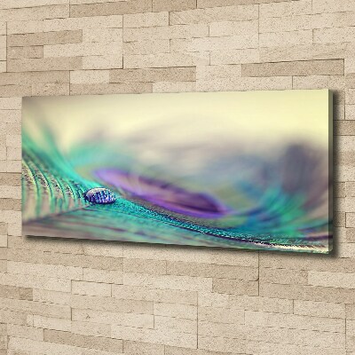 Canvas schilderij Een druppel op een veer