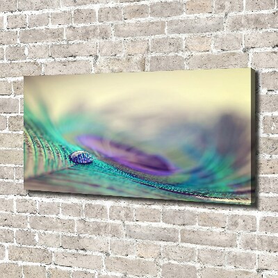 Canvas schilderij Een druppel op een veer