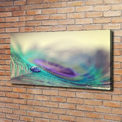 Canvas schilderij Een druppel op een veer