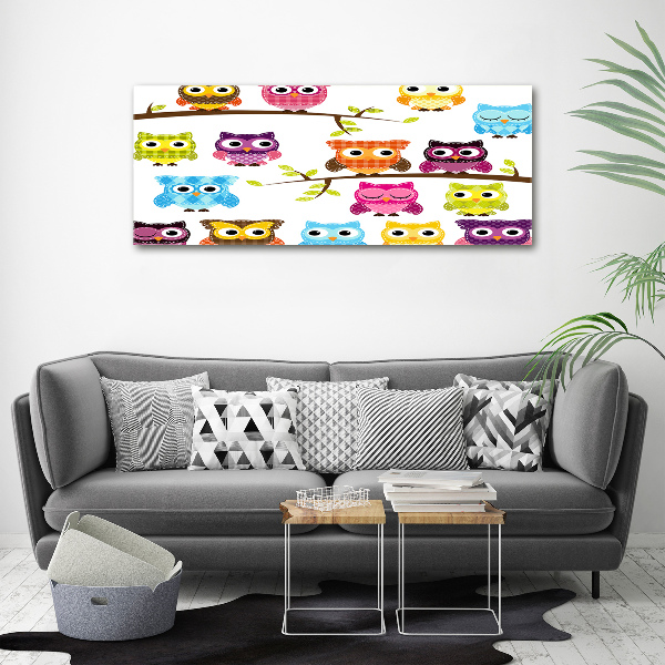 Foto op canvas Kleurrijke uilen