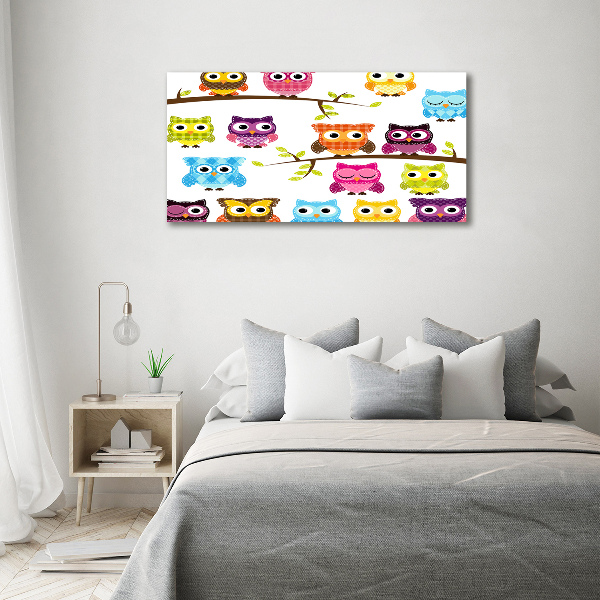 Foto op canvas Kleurrijke uilen