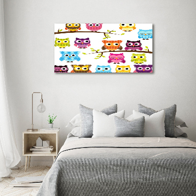 Foto op canvas Kleurrijke uilen