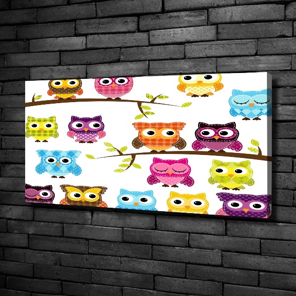 Foto op canvas Kleurrijke uilen
