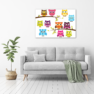 Foto op canvas Kleurrijke uilen