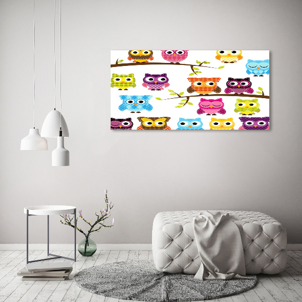 Foto op canvas Kleurrijke uilen