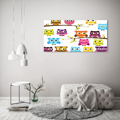 Foto op canvas Kleurrijke uilen