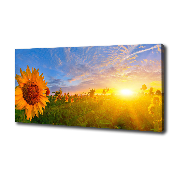 Canvas schilderij Een veld met zonnebloemen