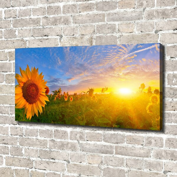 Canvas schilderij Een veld met zonnebloemen