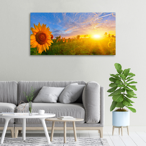 Canvas schilderij Een veld met zonnebloemen