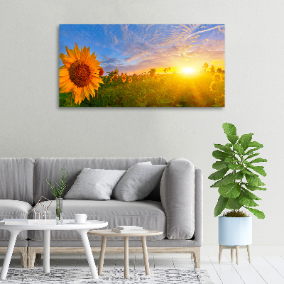 Canvas schilderij Een veld met zonnebloemen