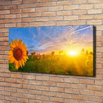 Canvas schilderij Een veld met zonnebloemen