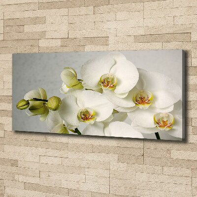 Schilderij op canvas Witte orchidee