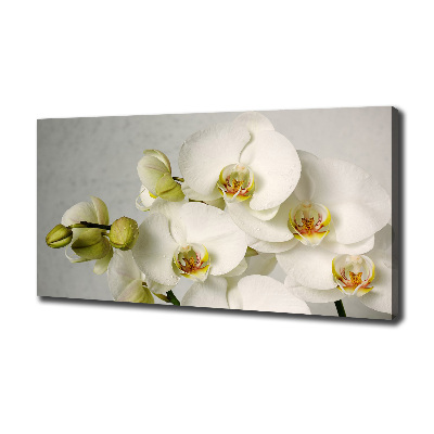 Schilderij op canvas Witte orchidee