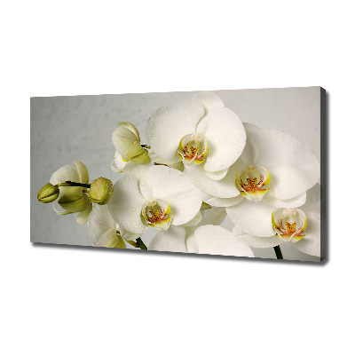Schilderij op canvas Witte orchidee