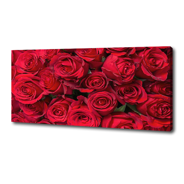 Foto canvas Rode rozen