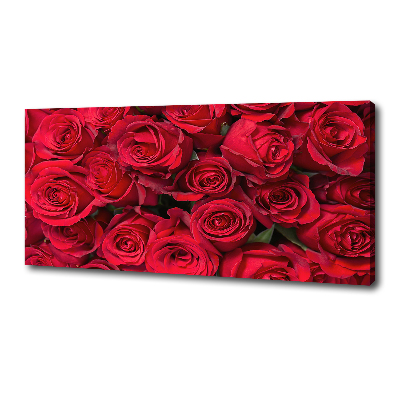 Foto canvas Rode rozen
