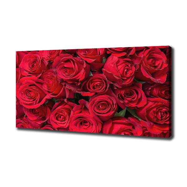 Foto canvas Rode rozen