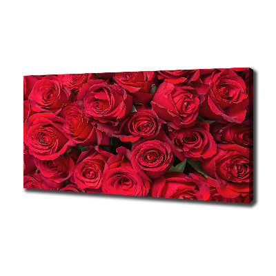Foto canvas Rode rozen