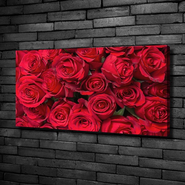Foto canvas Rode rozen