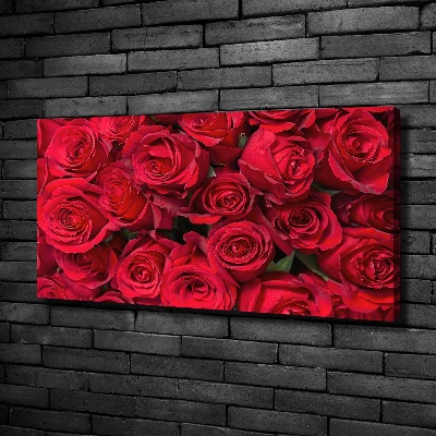 Foto canvas Rode rozen