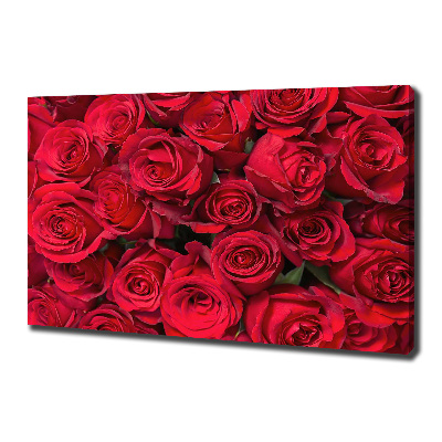 Foto canvas Rode rozen
